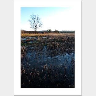 A farmer's Field in Winter - Yorkshire, UK Posters and Art